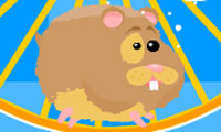 Cours, hamster, cours gratuit sur Jeu.org