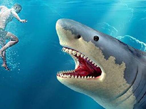 Chasse aux requins gratuit sur Jeu.org