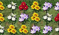 Séries florales gratuit sur Jeu.org