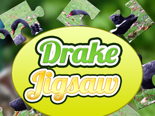 Puzzle de Drake gratuit sur Jeu.org